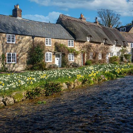 The Richmond Bed And Breakfast - Adults Only Shanklin Exteriör bild